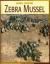 Zebra Mussel Encyclopedia Article
