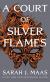 A Court of Silver Flames Study Guide and Lesson Plans by Sarah J. Maas
