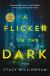 A Flicker in the Dark Study Guide by Stacy Willingham