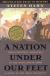 A Nation Under Our Feet: Black Political Struggles in the Rural South from Slavery to the Great Migration Study Guide and Lesson Plans by Steven Hahn