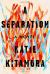 A Separation: A Novel Study Guide by Katie Kitamura