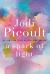 A Spark of Light Study Guide and Lesson Plans by Jodi Picoult