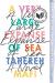 A Very Large Expanse of Sea Study Guide and Lesson Plans by Tahereh Mafi