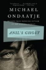 Anil's Ghost by 