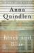 Black and Blue: A Novel Study Guide and Lesson Plans by Anna Quindlen