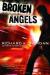 Broken Angels Study Guide by Richard Morgan (author)