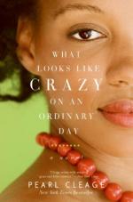 What Looks Like Crazy on an Ordinary Day by Pearl Cleage