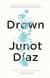 Drown (Short Story) Study Guide by Junot Díaz