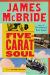 Five-Carat Soul Study Guide by McBride, James
