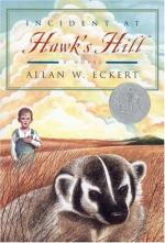 Incident at Hawk's Hill by Allan W. Eckert