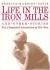 Life in the Iron Mills, and Other Stories Study Guide, Literature Criticism, and Lesson Plans by Rebecca Harding Davis