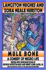Mule Bone by Zora Neale Hurston