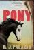 Pony Study Guide and Lesson Plans by R. J. Palacio