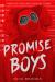Promise Boys Study Guide by Nick Brooks