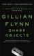 Sharp Objects Study Guide and Lesson Plans by Gillian Flynn