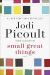 Small Great Things Study Guide by Jodi Picoult