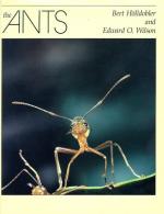 The Ants by Bert Hölldobler