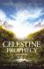 The Celestine Prophecy: An Adventure Study Guide and Lesson Plans by James Redfield