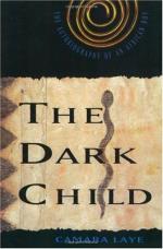 The Dark Child by Camara Laye