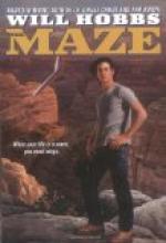 The Maze by Will Hobbs