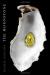 The Moonstone eBook, Encyclopedia Article, Study Guide, and Lesson Plans by Wilkie Collins