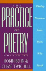 The Practice of Poetry by Robin Behn