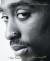 The Rose That Grew from Concrete Study Guide and Lesson Plans by Tupac Shakur