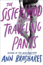 The Sisterhood of the Traveling Pants by Ann Brashares