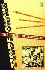 The Street of Crocodiles by Bruno Schulz