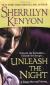 Unleash the Night Study Guide and Lesson Plans by Sherrilyn Kenyon
