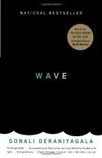 Wave (novel) by Sonali Deraniyagala