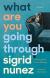 What Are You Going Through Study Guide by Sigrid Nunez