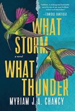 What Storm, What Thunder by Myriam J A Chancy