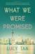 What We Were Promised Study Guide by Lucy Tan