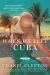 When We Left Cuba Study Guide by Chanel Cleeton