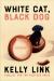 White Cat, Black Dog: Stories Study Guide by Kelly Link