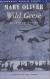 Wild Geese Study Guide by Mary Oliver