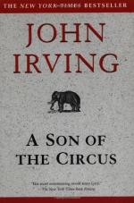 A Son of the Circus by John Irving