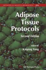Adipose tissue by 