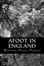 Afoot in England by William Henry Hudson