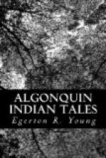 Algonquin Indian Tales by 
