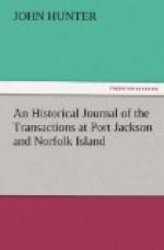 An Historical Journal of the Transactions at Port Jackson and Norfolk Island by 