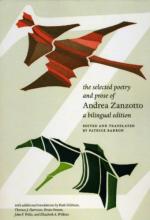 Andrea Zanzotto by 