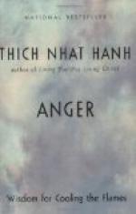 Anger by 