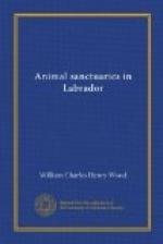 Animal Sanctuaries in Labrador by 