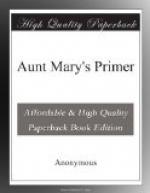 Aunt Mary's Primer by 