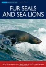 Australian Sea Lion by 