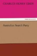 Australian Search Party by 