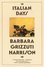 Barbara Grizzuti Harrison by 