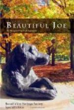 Beautiful Joe by Margaret Marshall Saunders